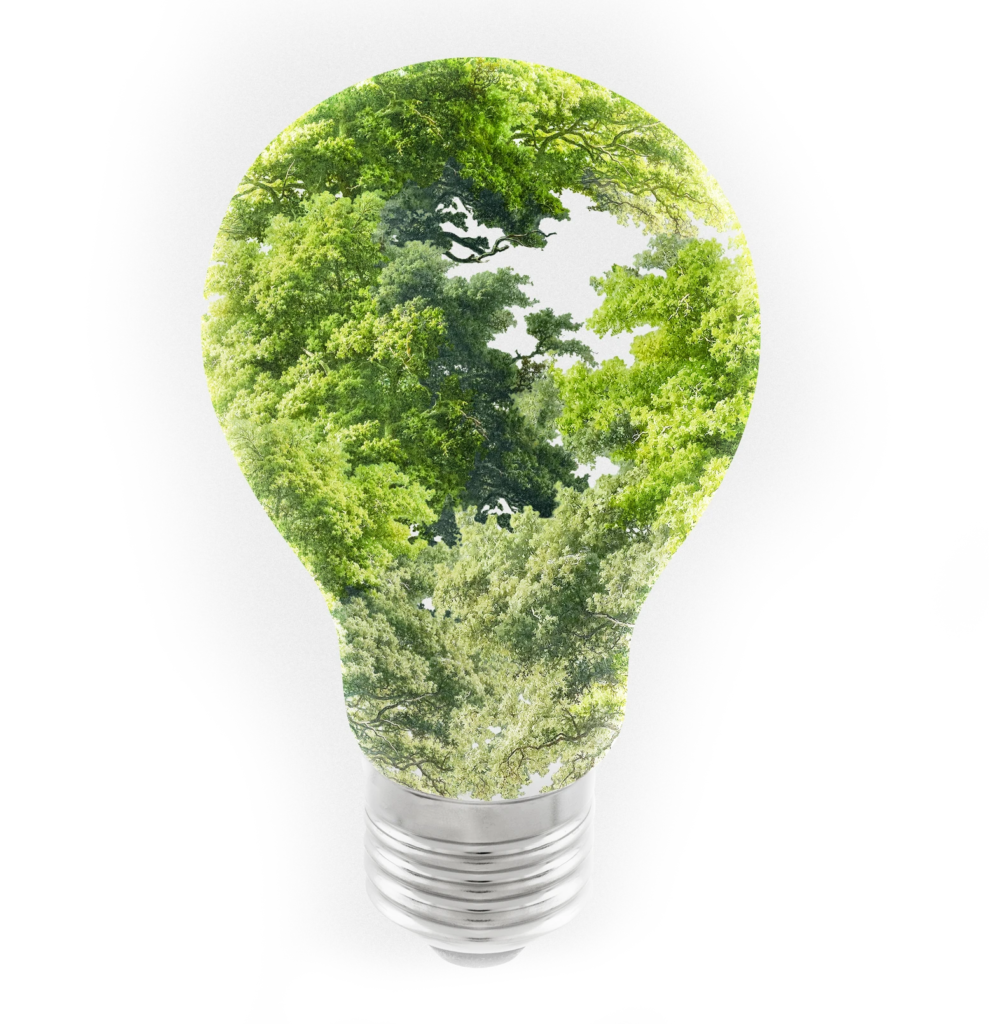 Revestimento sustentável Verite: iniciativas que mudam o mundo